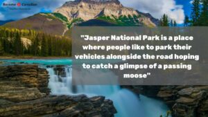 Jasper National Park